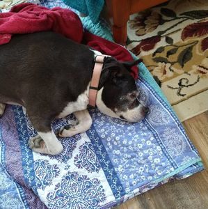 Meet your Posher, Donna